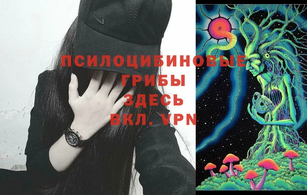 хмурый Кулебаки