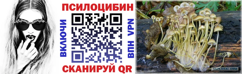 Псилоцибиновые грибы MAGIC MUSHROOMS  Купить  Александров 